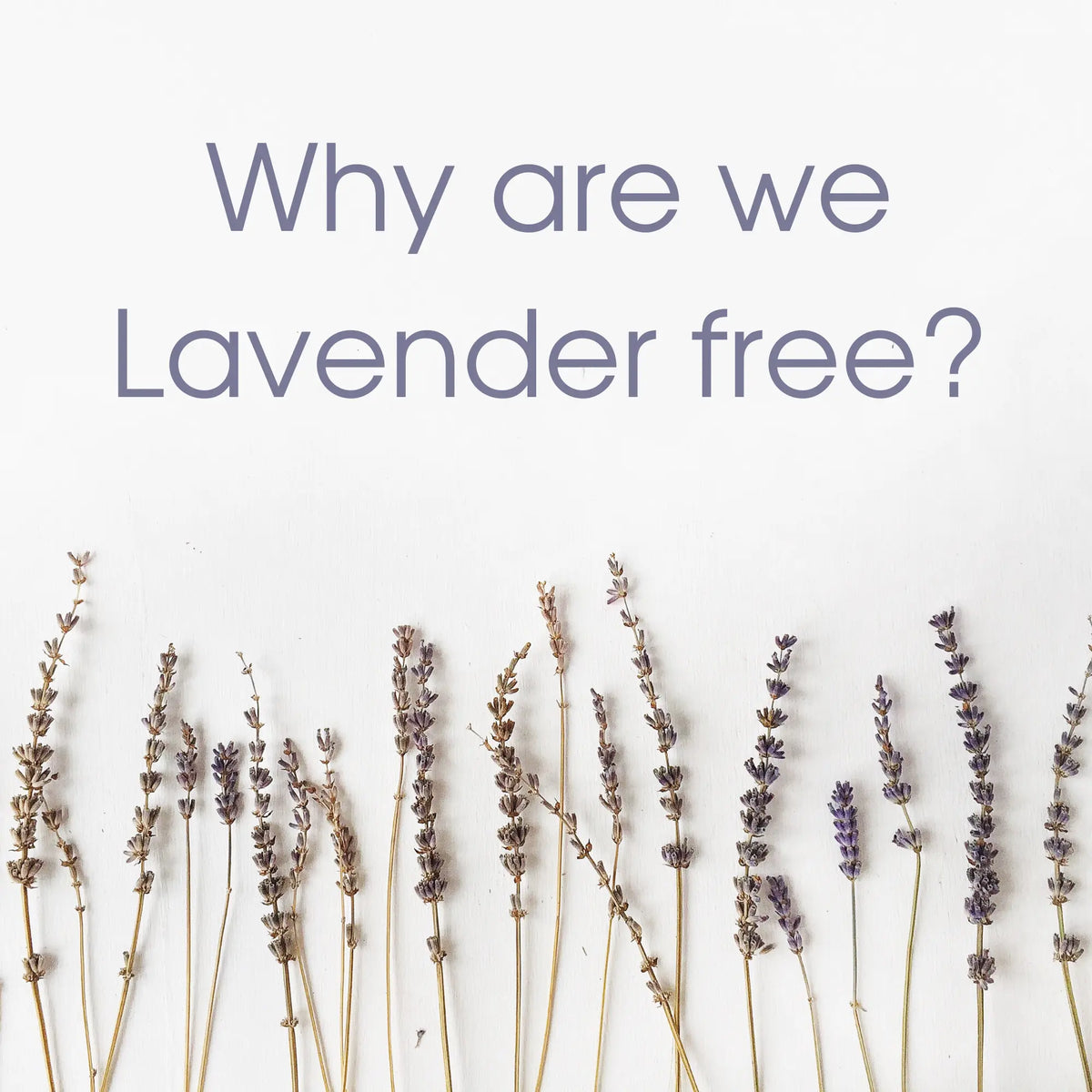 Why-are-we-Lavender-Free Pod Organics